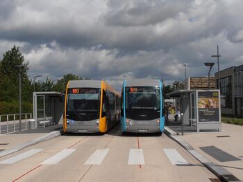 Veel bus voor weinig kosten