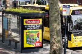 Utrechtse bushokjes hebben een plantendak